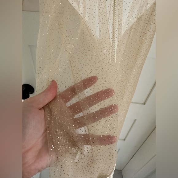 Sheer sparkly dress with attached bodysuit - Picture 2 of 3